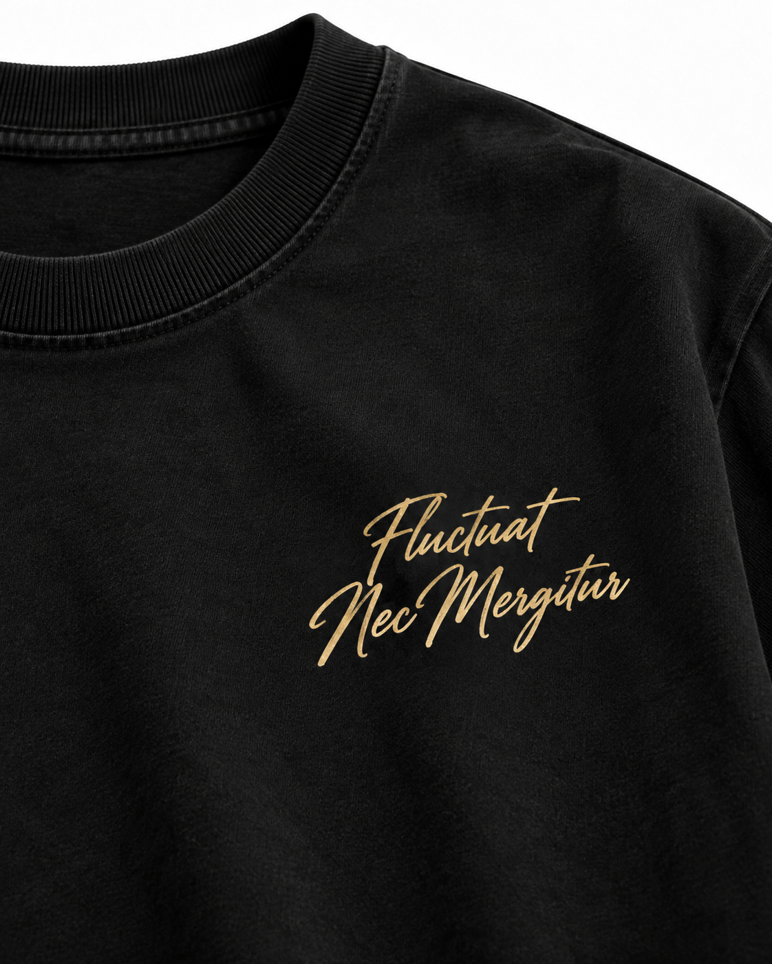 Tee-shirt Fluctuat Nec Mergitur — Virtus