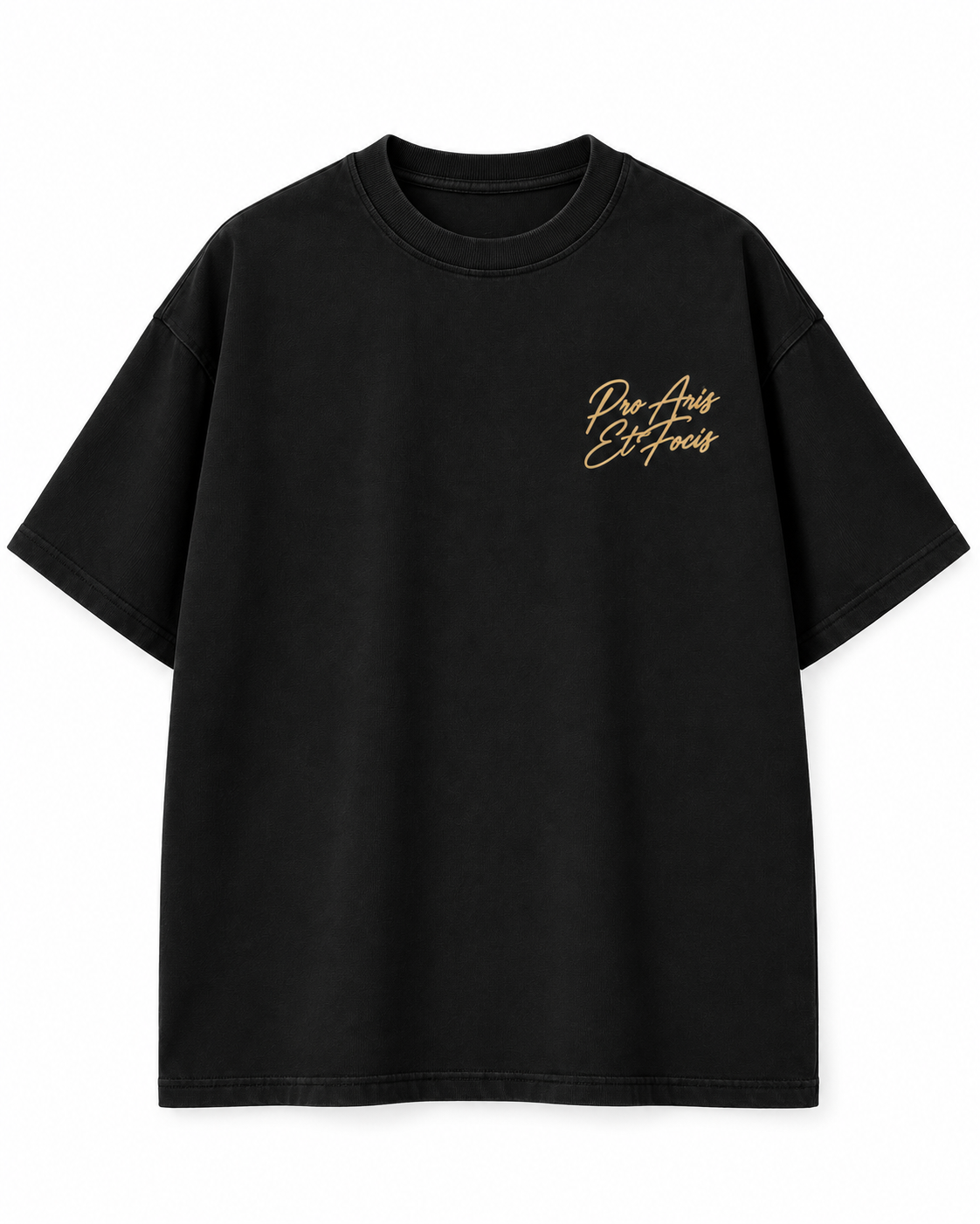 Tee-shirt Pro Aris et Focis — Virtus