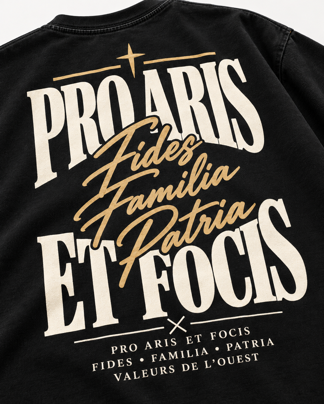 Tee-shirt Pro Aris et Focis — Virtus