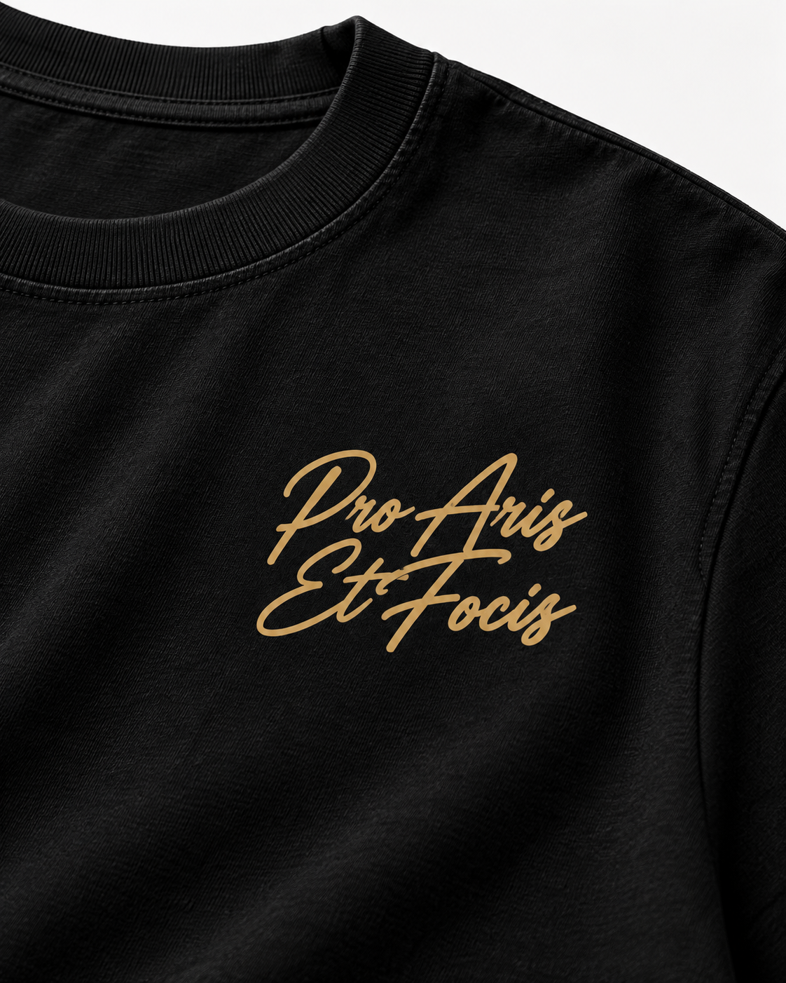 Tee-shirt Pro Aris et Focis — Virtus