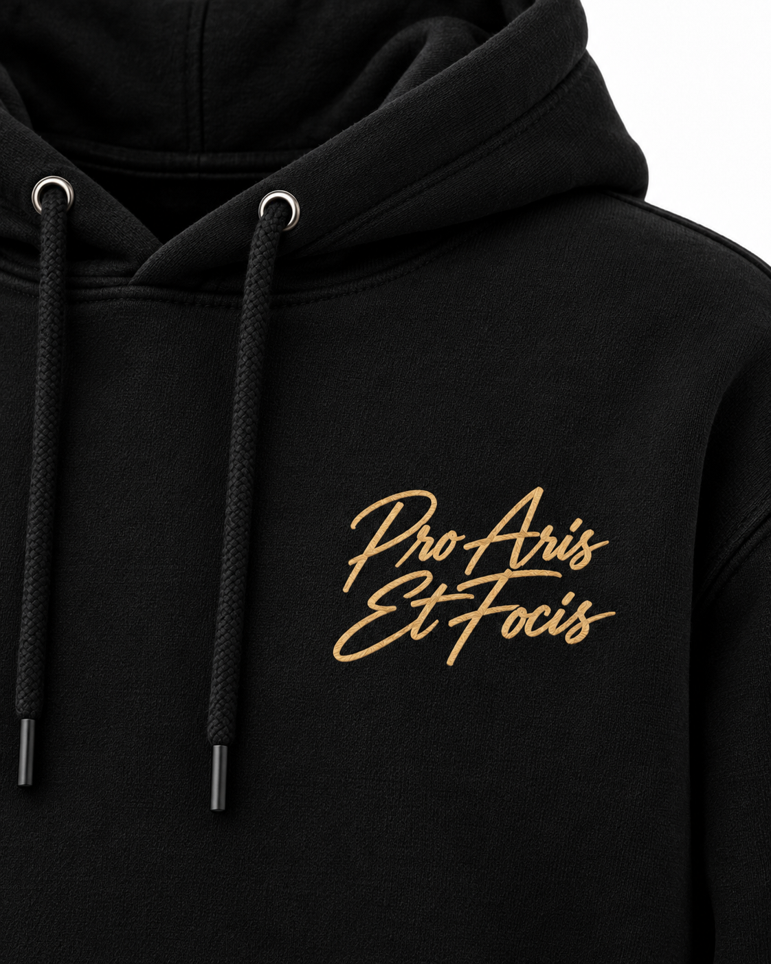 Hoodie Pro Aris et Focis — Virtus