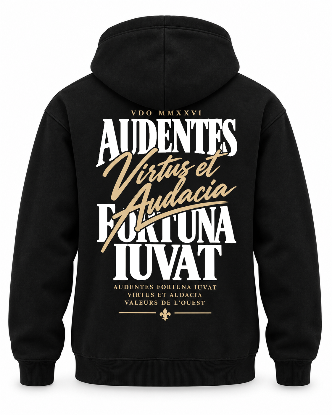 Hoodie Audentes Fortuna Iuvat — Virtus