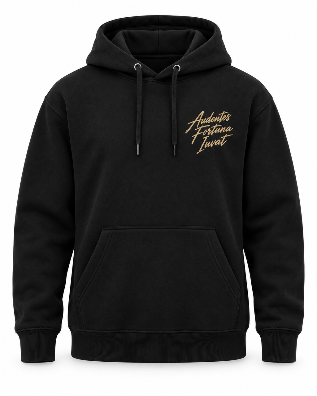 Hoodie Audentes Fortuna Iuvat — Virtus