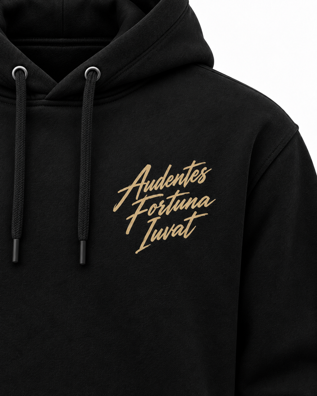 Hoodie Audentes Fortuna Iuvat — Virtus