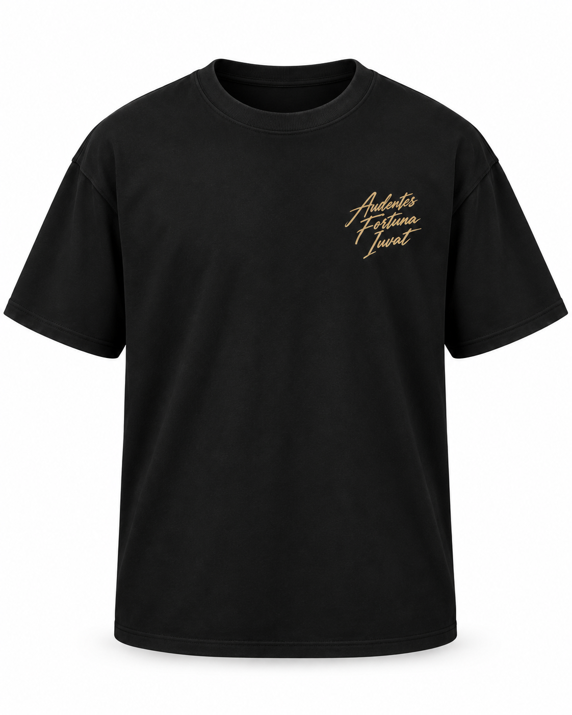 Tee-shirt Audentes Fortuna Iuvat — Virtus
