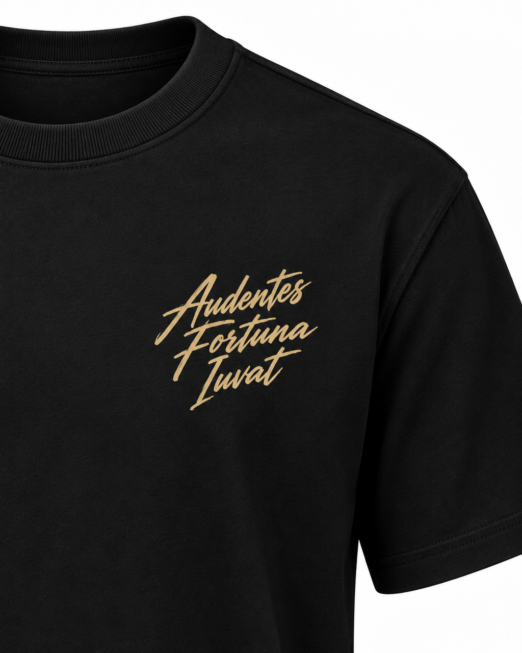 Tee-shirt Audentes Fortuna Iuvat — Virtus